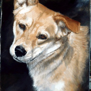 Davina Dobie Dog Portrait..gif