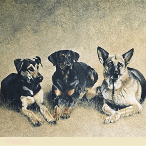 Davina Dobie three 3 dog portrait.gif