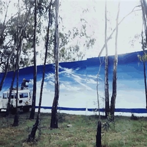Davina Dobie Landscape Mural Kenya Nairobi.gif