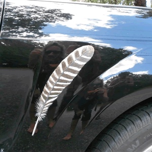 Davina Dobie painted mustang feather hamptons new york.gif