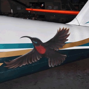 Davina Dobie painted plane sunbird port elizabeth aeroplane airbrush.gif