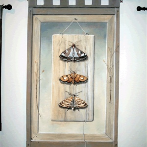 Davina Dobie 3 moths on wooden hanging board.gif