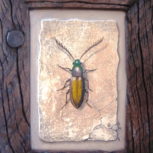 Davina Dobie beetles 3 D.gif