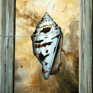 Davina Dobie Cone Shell painting.gif